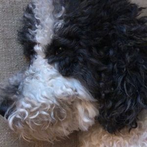 Meet your Posher, Travis